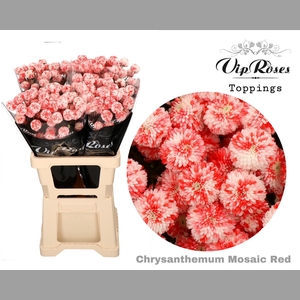 CHR T MOSAIC RED