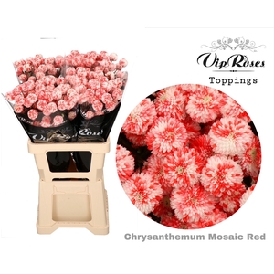 Chr T Mosaic Red