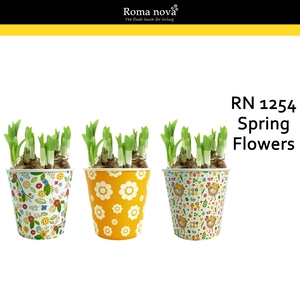 Narcis Rom 1254 Spring Flowers