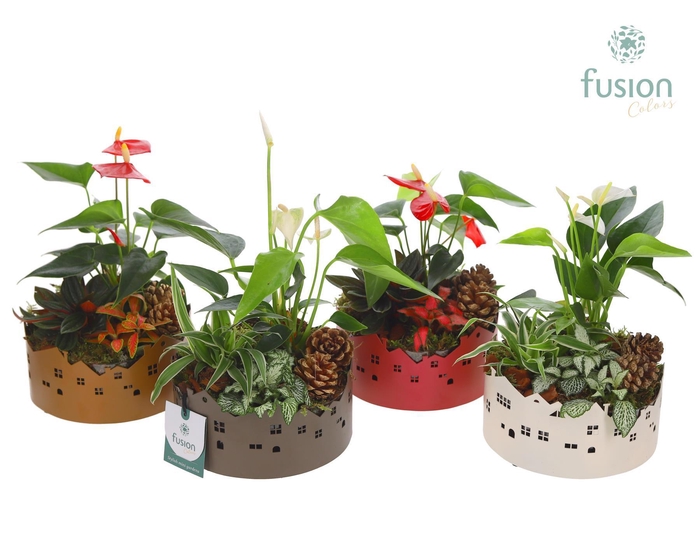 <h4>Zinken schaal Huisjes Small met Kerst arrangement</h4>