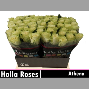 R GR ATHENA