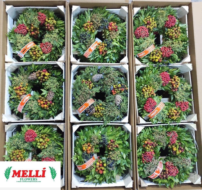 <h4>SIERFRUIT KRANS H%</h4>