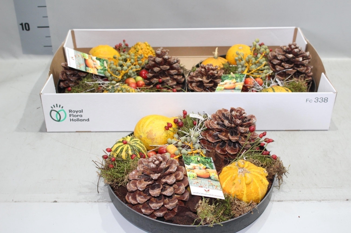 Arr Sierfruit In Kunsstof Schaal