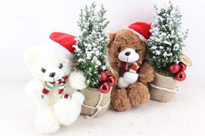 <h4>arr2 PL - Kerst beer mix Picea 285/8</h4>