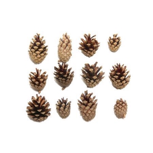 Deco Pinecone Silvester 5kg Natural