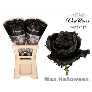 R GR WAX HALLOWEEN x20 (60cm)
