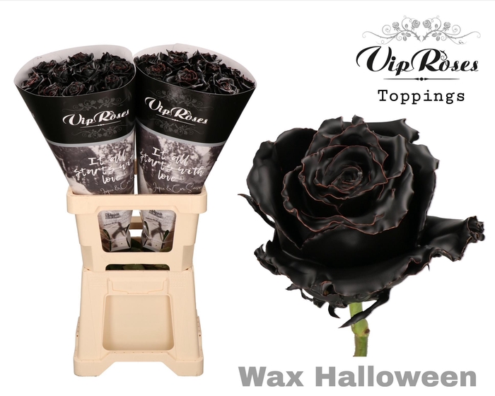 <h4>R GR WAX HALLOWEEN x20</h4>