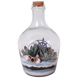 Arr.  Succulents H%