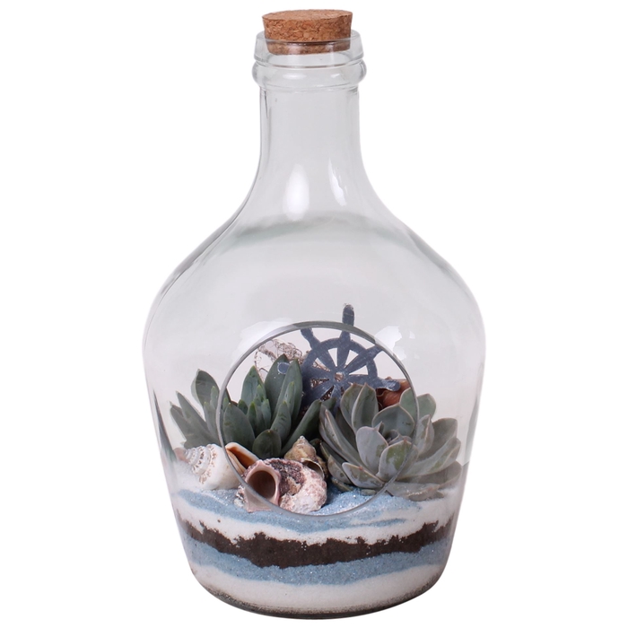 Arr.  Succulents H%
