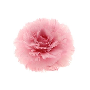 Feather Rose Clip H8D11