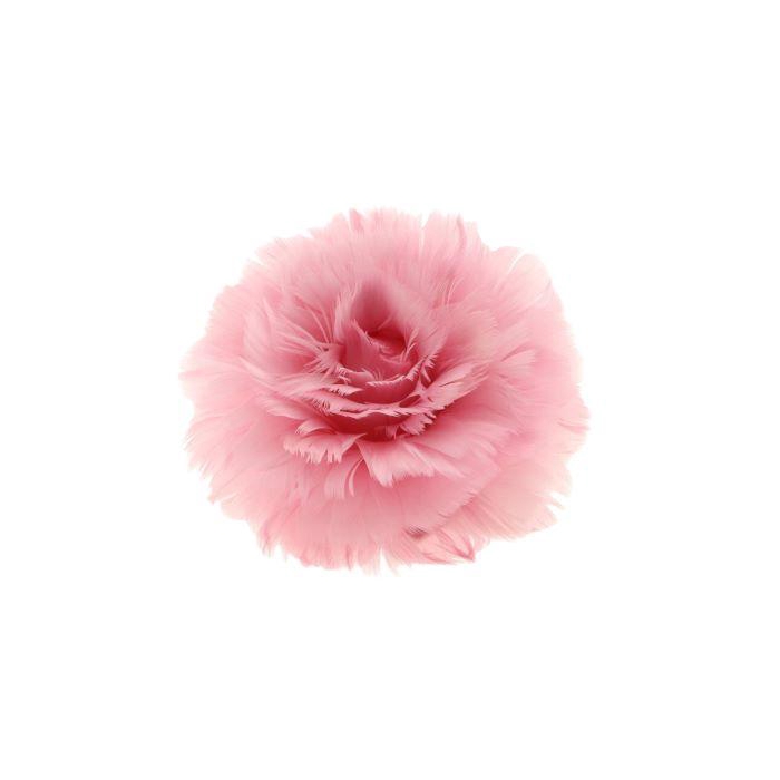 <h4>Feather Rose Clip H8D11</h4>