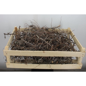 Deco Bonsai Crate Brown 100pcs L60w40