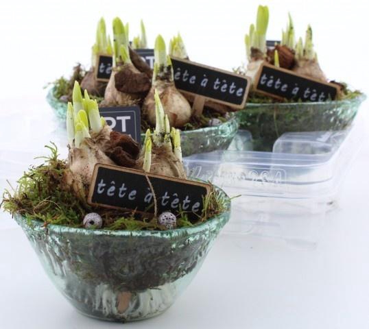 <h4>ARR N TETE A TETE</h4>