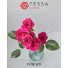 R TR FIRE UP Tessa