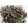Dried Statice Tatarica Natural Pkg
