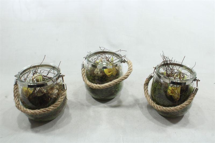 <h4>7113 GLAS+TOUW TETE</h4>