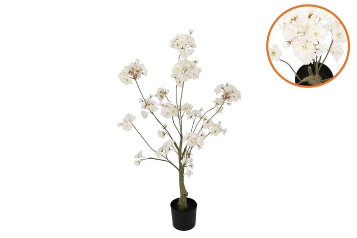 <h4>Silk Cherry Blossom Tree White 90cm</h4>