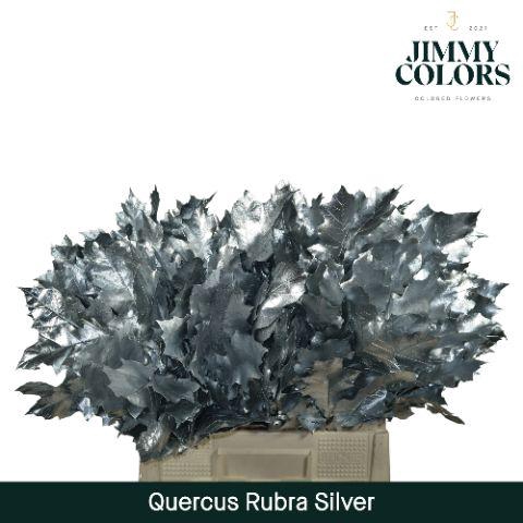 <h4>Quercus Rubra L60 Silver</h4>
