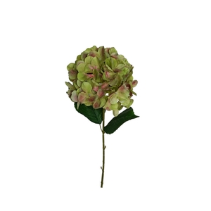 AF Hydrangea L65cm green