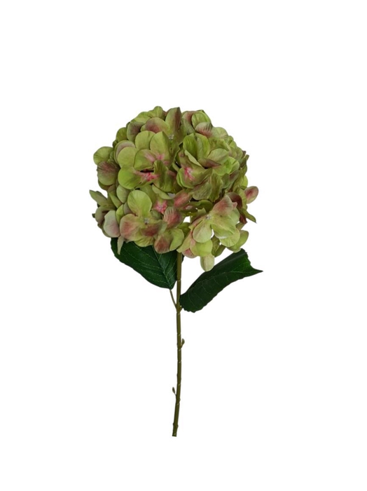 AF Hydrangea L65cm green
