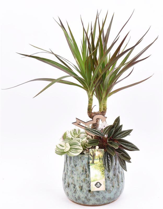 <h4>Keramiek pot gr/bl 14/16cm</h4>