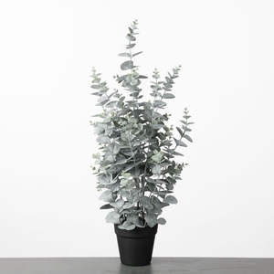 AF Eucalyptus pot H72cm Green