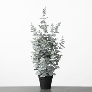 AF Eucalyptus pot H72cm Green