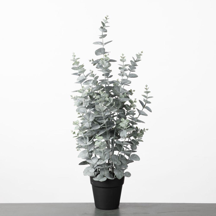 <h4>AF Eucalyptus pot H72cm Green</h4>