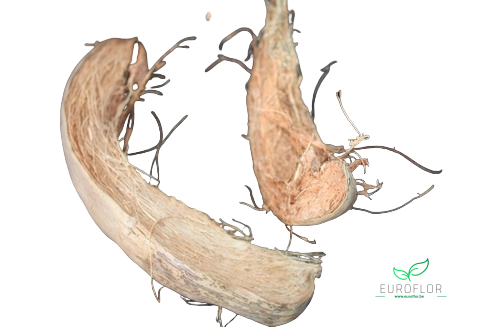 COCO HUSK NATURAL 500GR