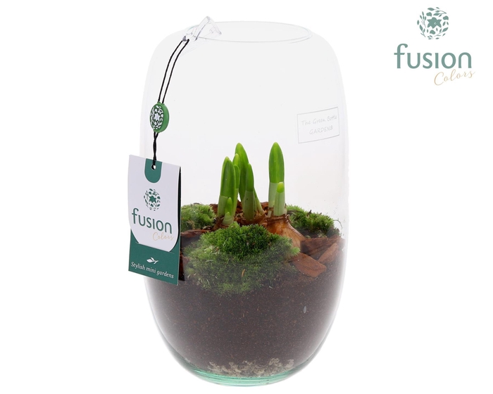 <h4>Green Bottle Isabella Medium met Bollen mix</h4>