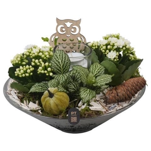 PTHG8267 Arrangement Autumn Glass in glas schaal