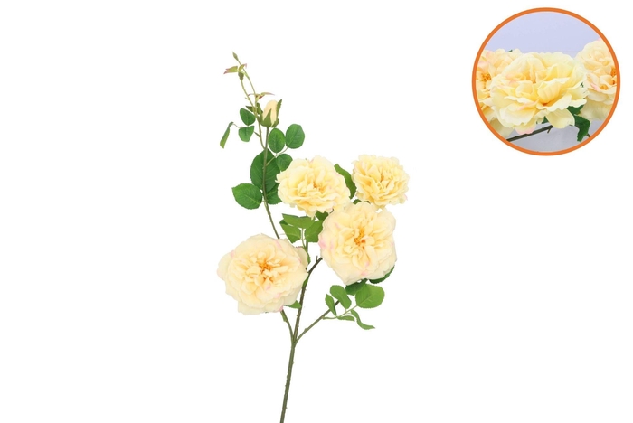 Silk Wild Rose Yellow Single Stem 116cm