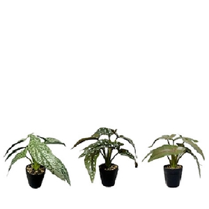 Kunstplanten Pot Begonia d18*22cm