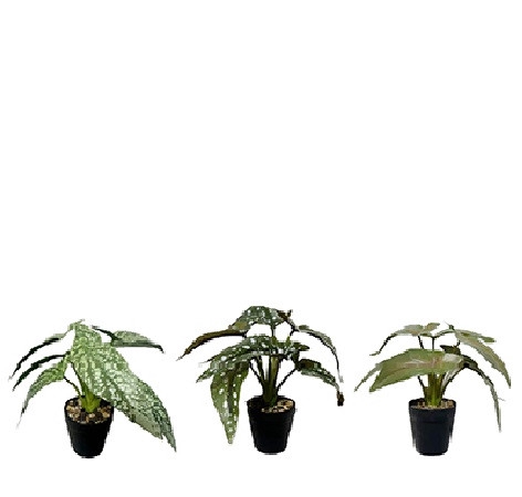 <h4>Kunstplanten Pot Begonia d18*22cm</h4>