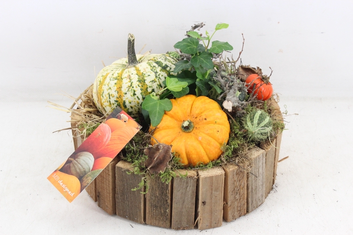 <h4>arr4 Sierfruit MB - Hout rond latjes x2</h4>