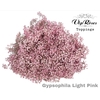 GYPS PA LIGHT PINK