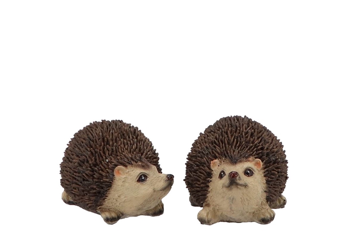 <h4>Hedgehog Poly Middle Ass Per 1 10x7x6cm</h4>