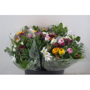 Boeket Primavera P Bunch