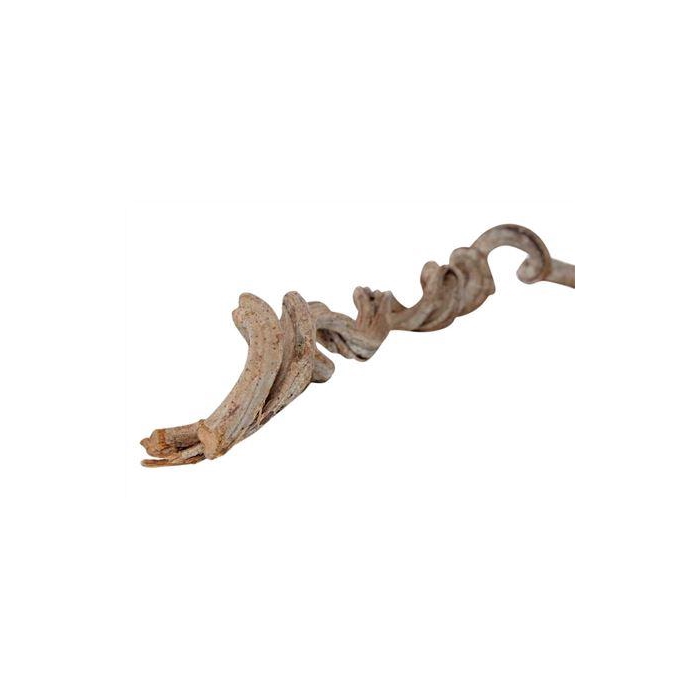 <h4>Branch Cipo Rosca L200 D20 up</h4>
