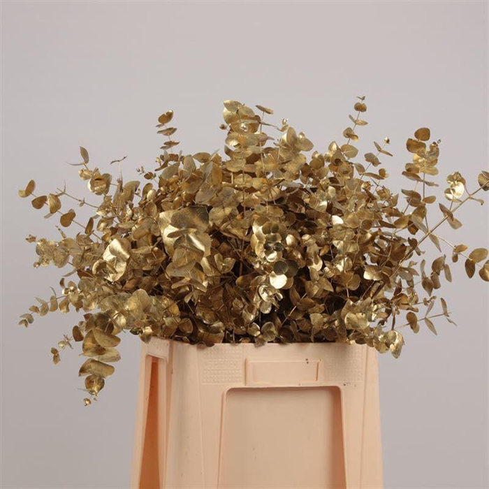 <h4>Cinerea Geverfd</h4>