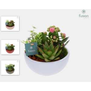 Schaal keramiek Moon Small div. kleuren met Arrangement