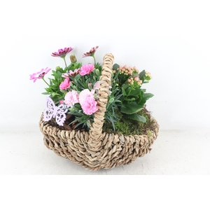 arr4 Outdoor MB - Tasmand x4