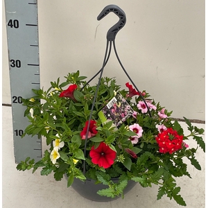 PERKPL GEM IN POT