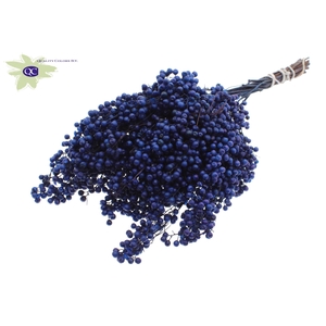 Pepperberries per bunch in poly Dark Blue