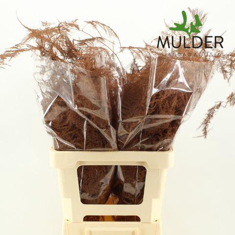 <h4>ASP OV KLB H%</h4>