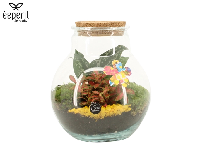 <h4>31766: Reinvention terrarium</h4>