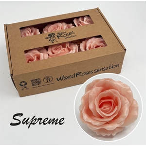 Zijde R Supreme Oceana Wx