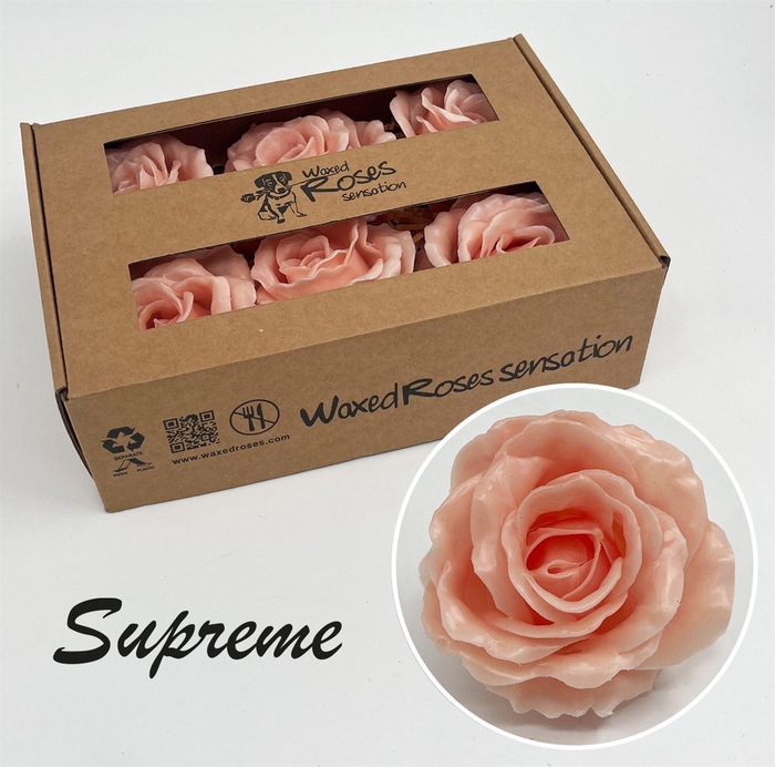 <h4>Zijde R Supreme Oceana Wx</h4>