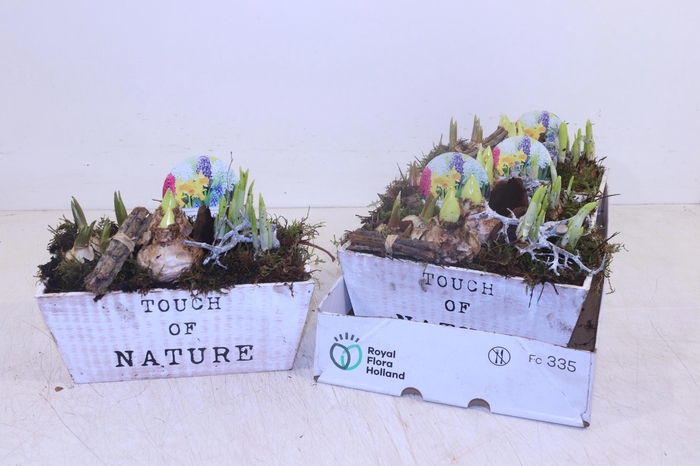 <h4>ARR BOL KNOLGEWAS</h4>