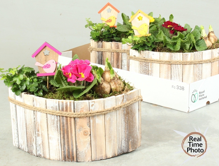 <h4>ARR TUINPLANTEN</h4>